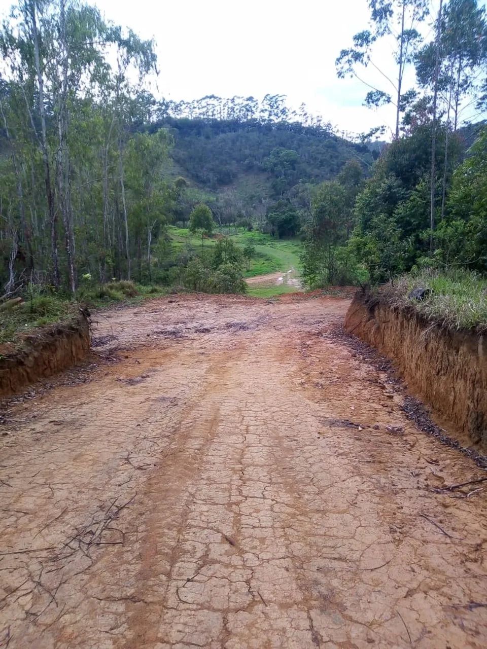 SÍTIO RURAL em PARAIBUNA - SP, CEDRO - Foto 5