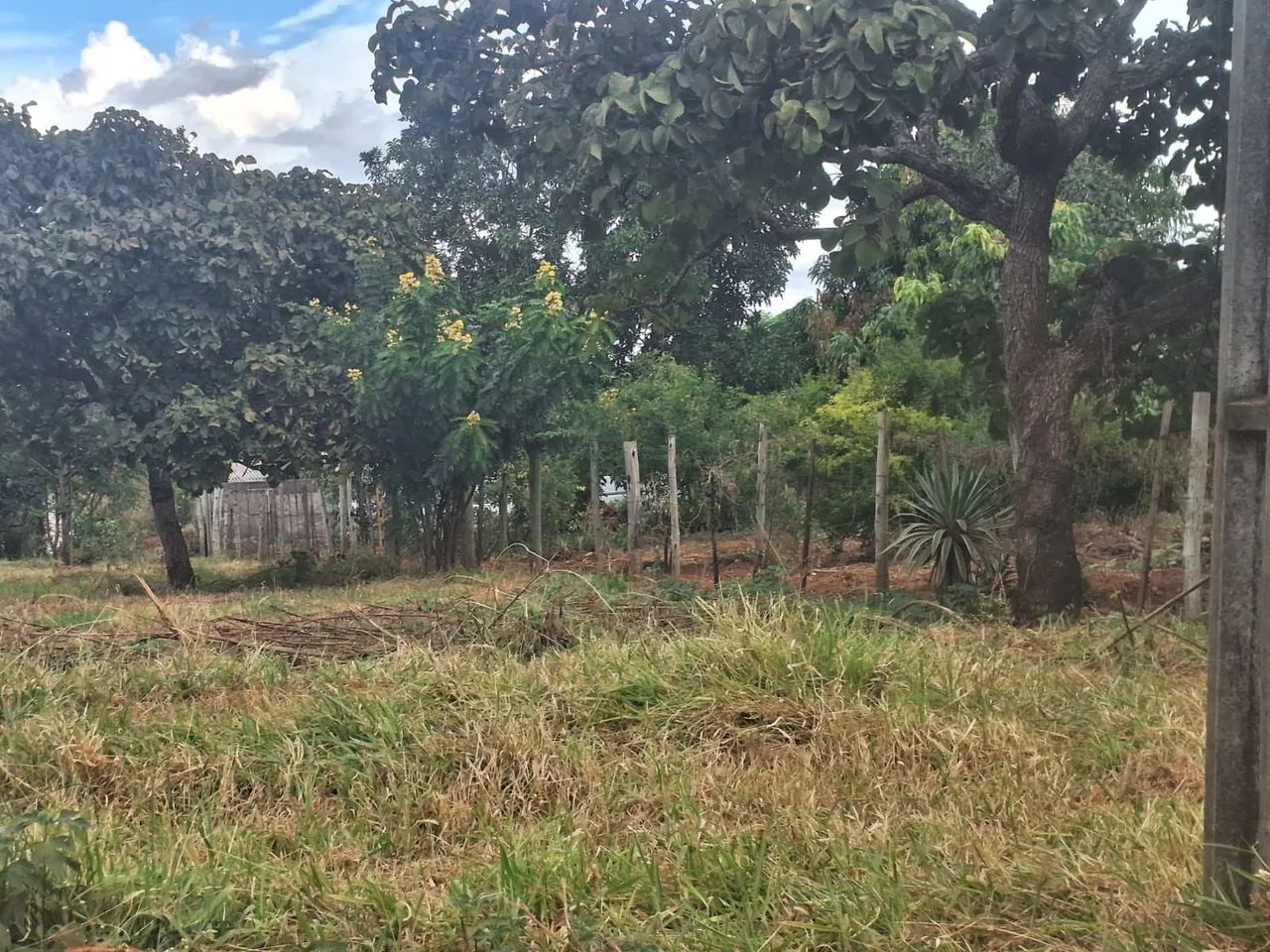 Chácara morada Nova - Foto 3