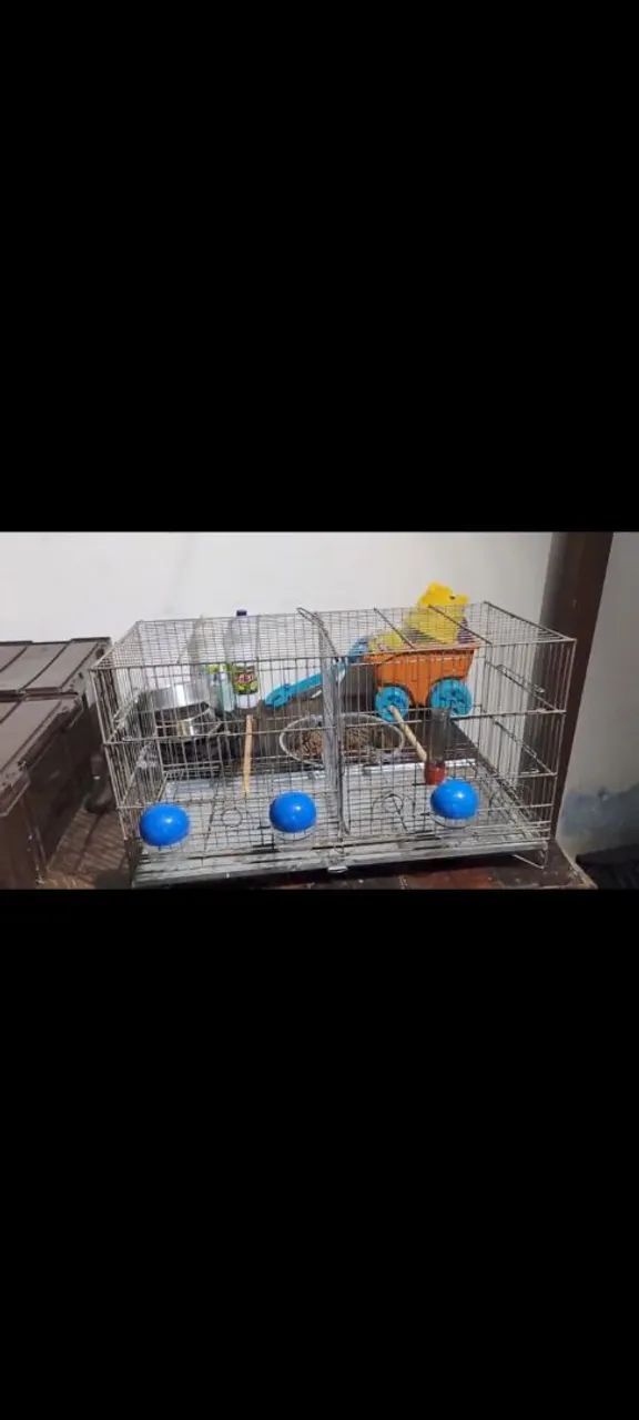 Gaiola de reprodução 6 comedouros