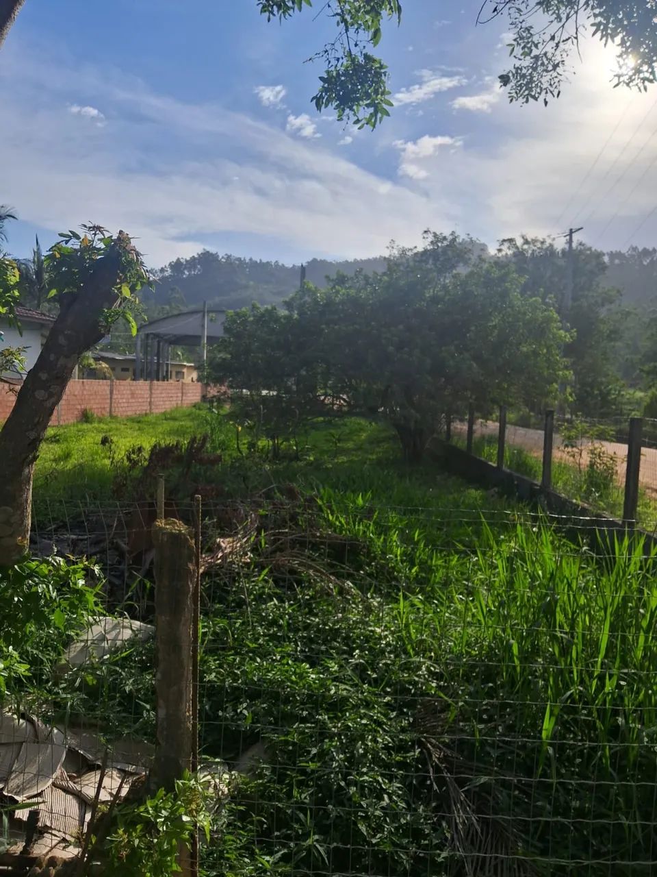 Foto - Imaruí - 