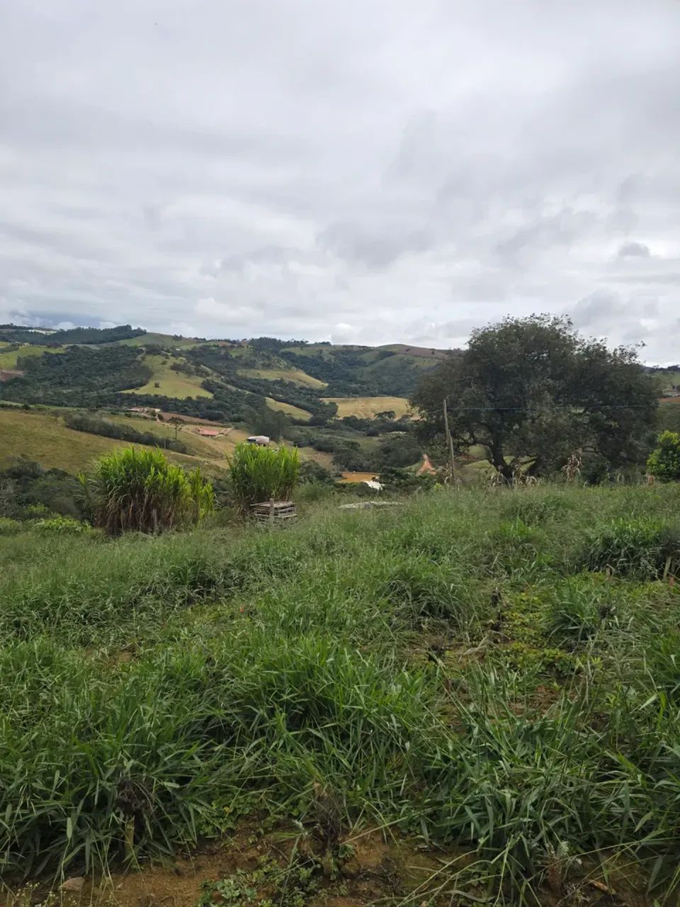 terreno  em Itapeva-MG  com 24 mil metros e nascente
