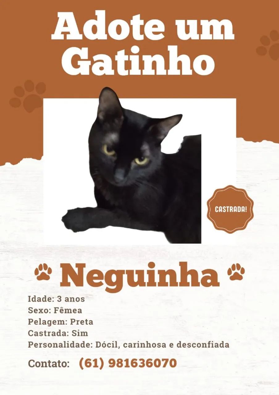Doam-se gatinhas - Foto 3