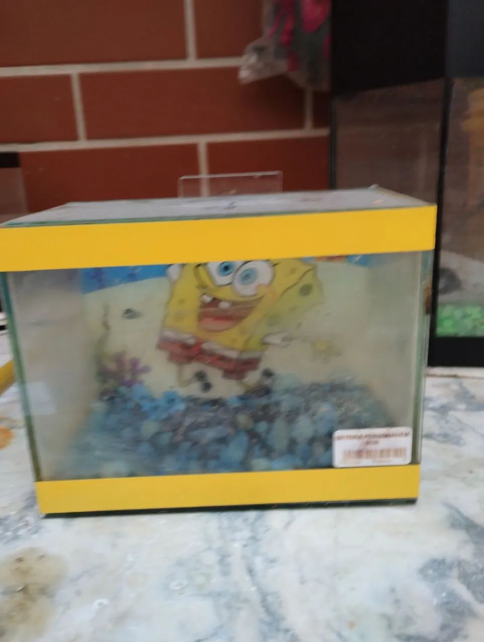 Aquário Beteira(Bob Esponja) - Foto 2