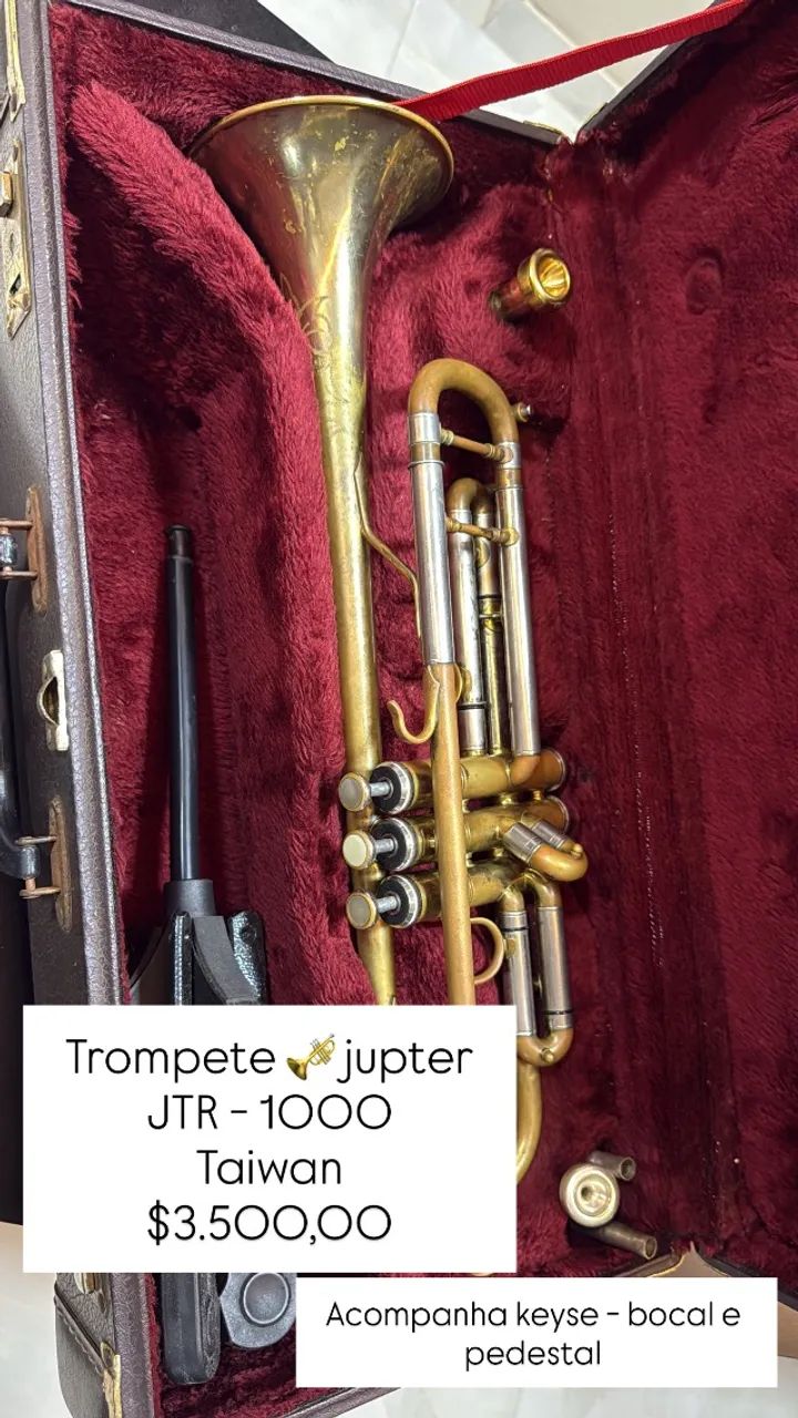 Trompete Júpiter  - Foto 2