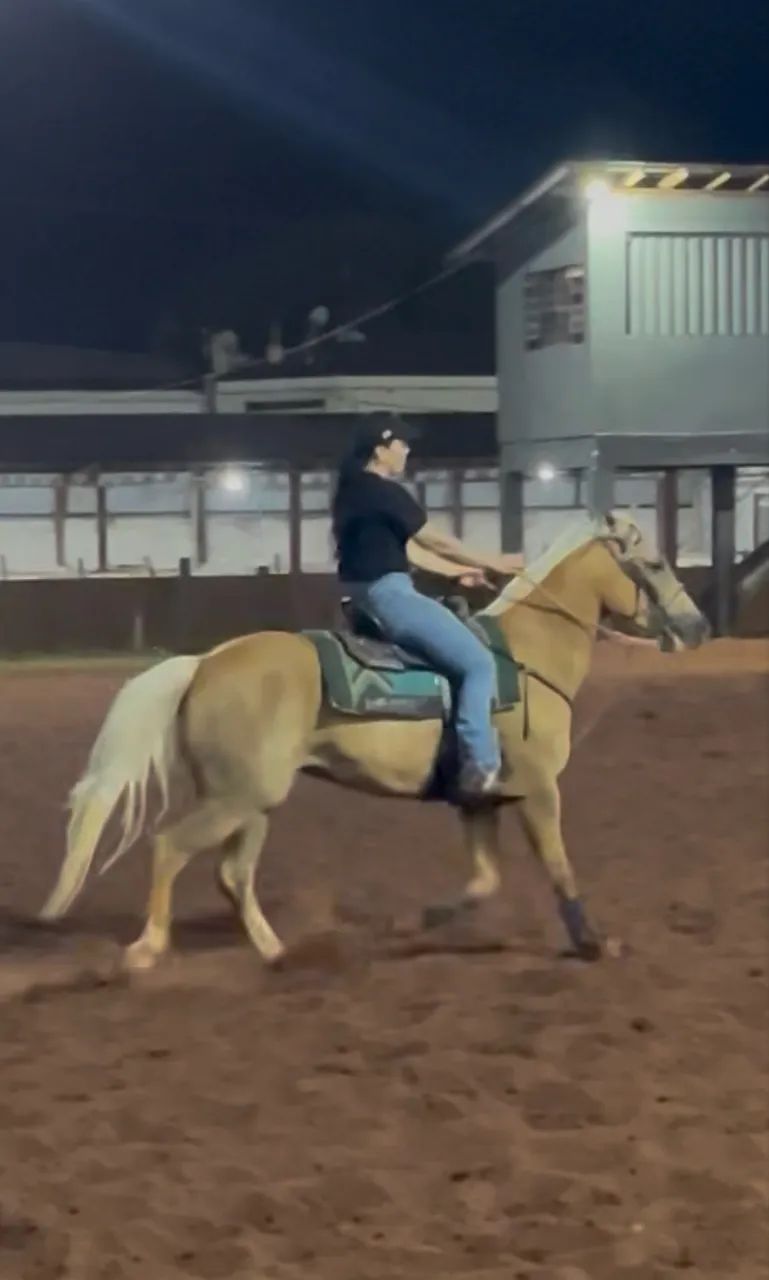 Cavalo QM Três tambores  - Foto 6