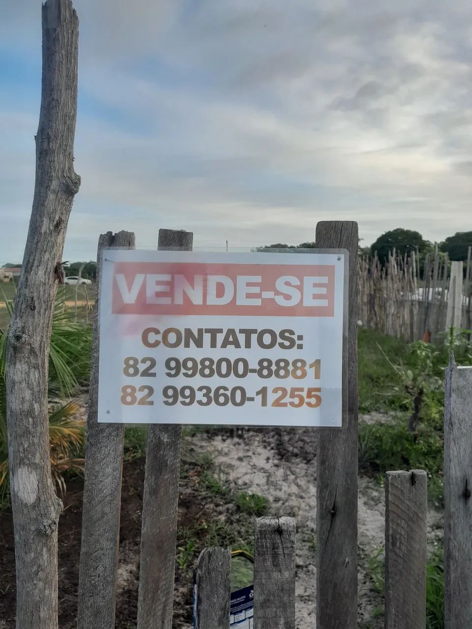 Lote - Foto 2