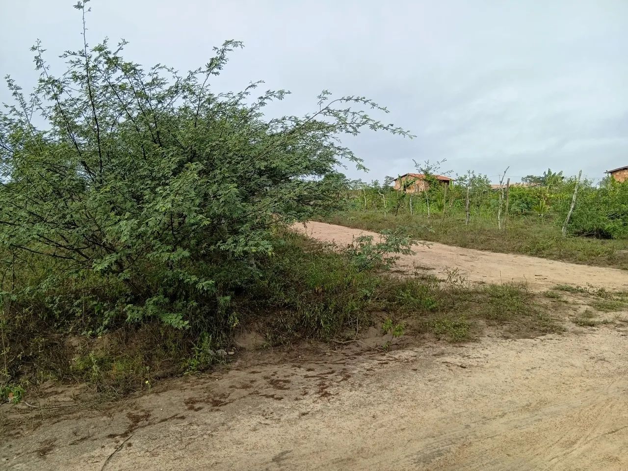 Terreno 