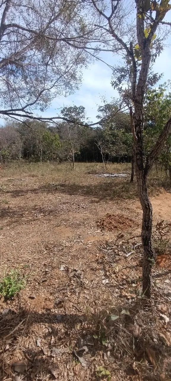 CHACARA COM AGUA 30 KM DE ANAPOLIS - Foto 4