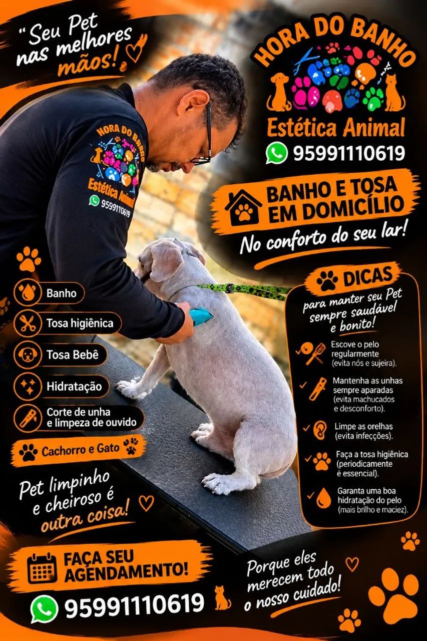 Banho e tosa em domicílio ou buscamos seu Pet com segurança.