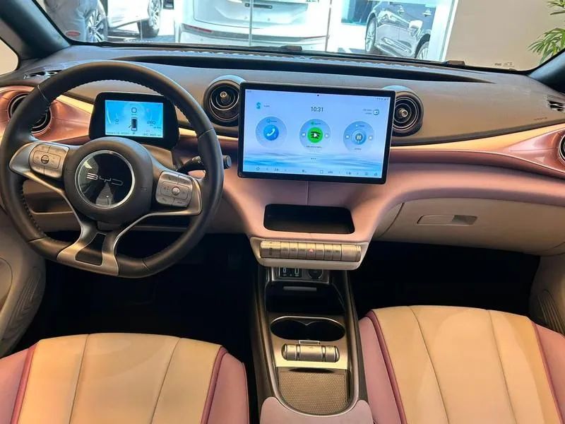 BYD Dolphin EV (Elétrico) 2025 - Foto 5