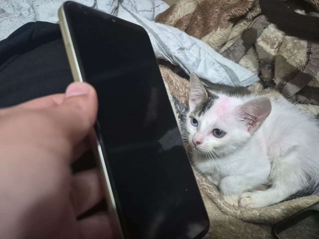 Realme c61 seminovo - Foto 3