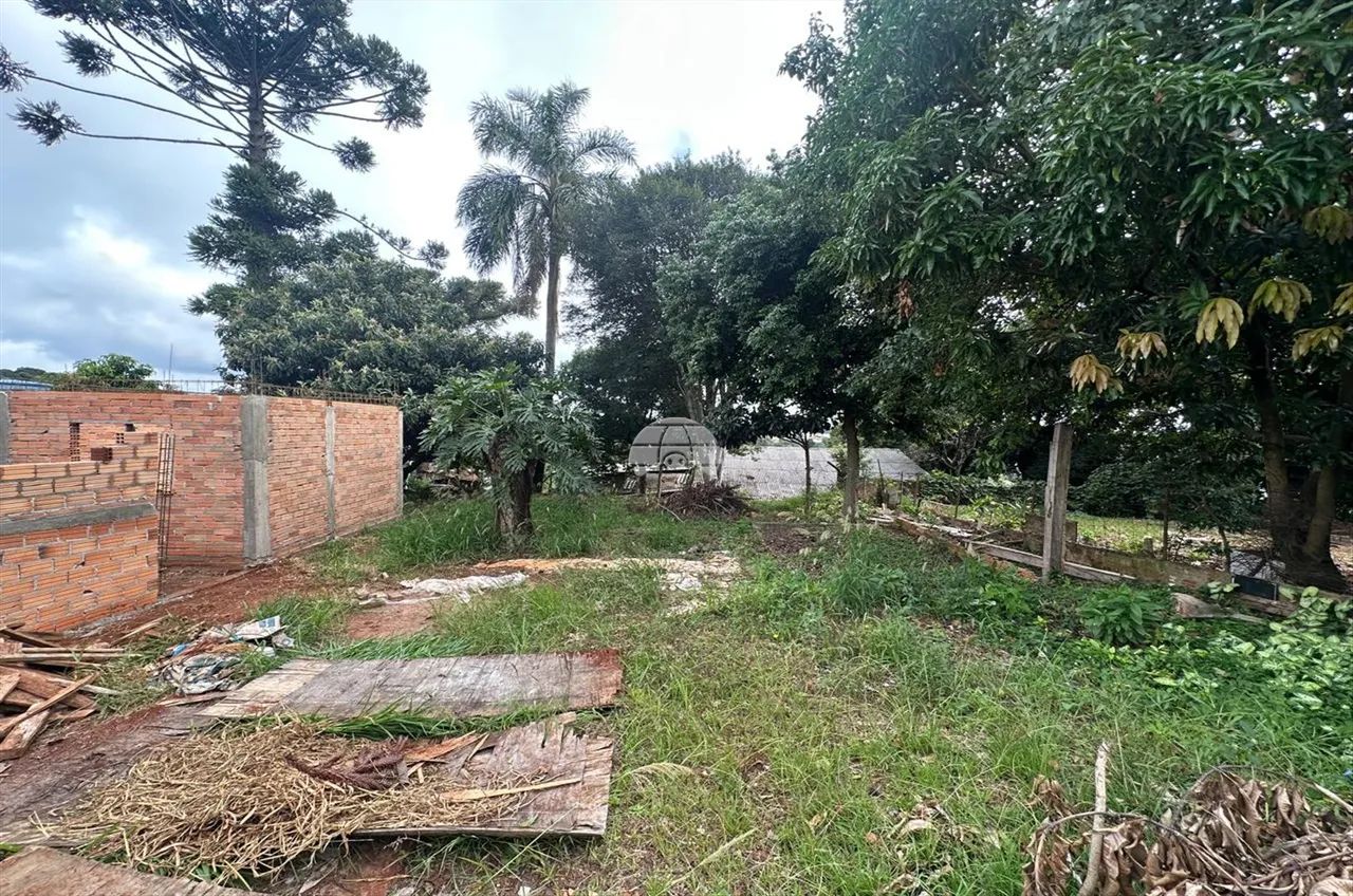 Vendas Terreno Pato Branco PR - Foto 5