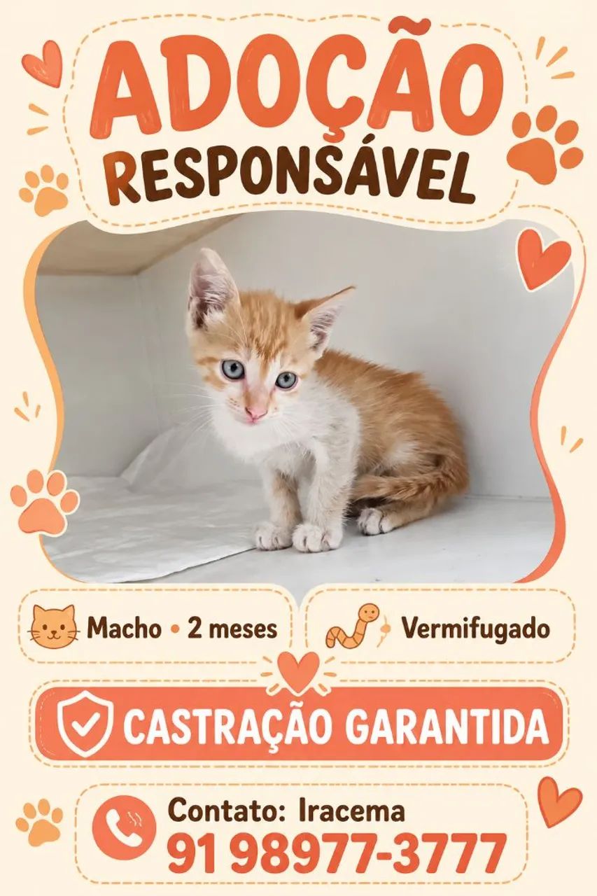 Adoção 