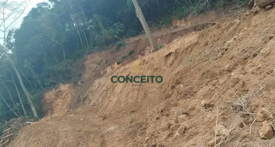 Lote/Terreno à Venda, Itacorubi - Florianópolis - Foto 2
