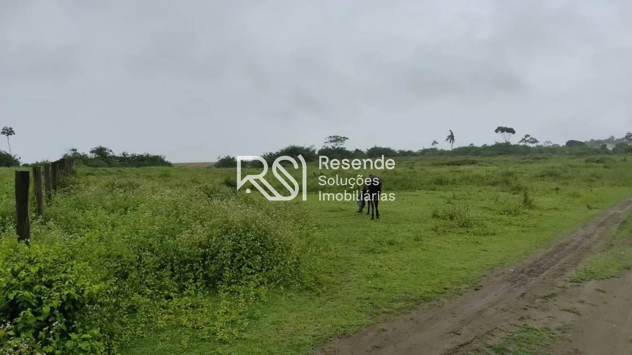 Sítio Para Vender no bairro em Boca Da Mata - Foto 4
