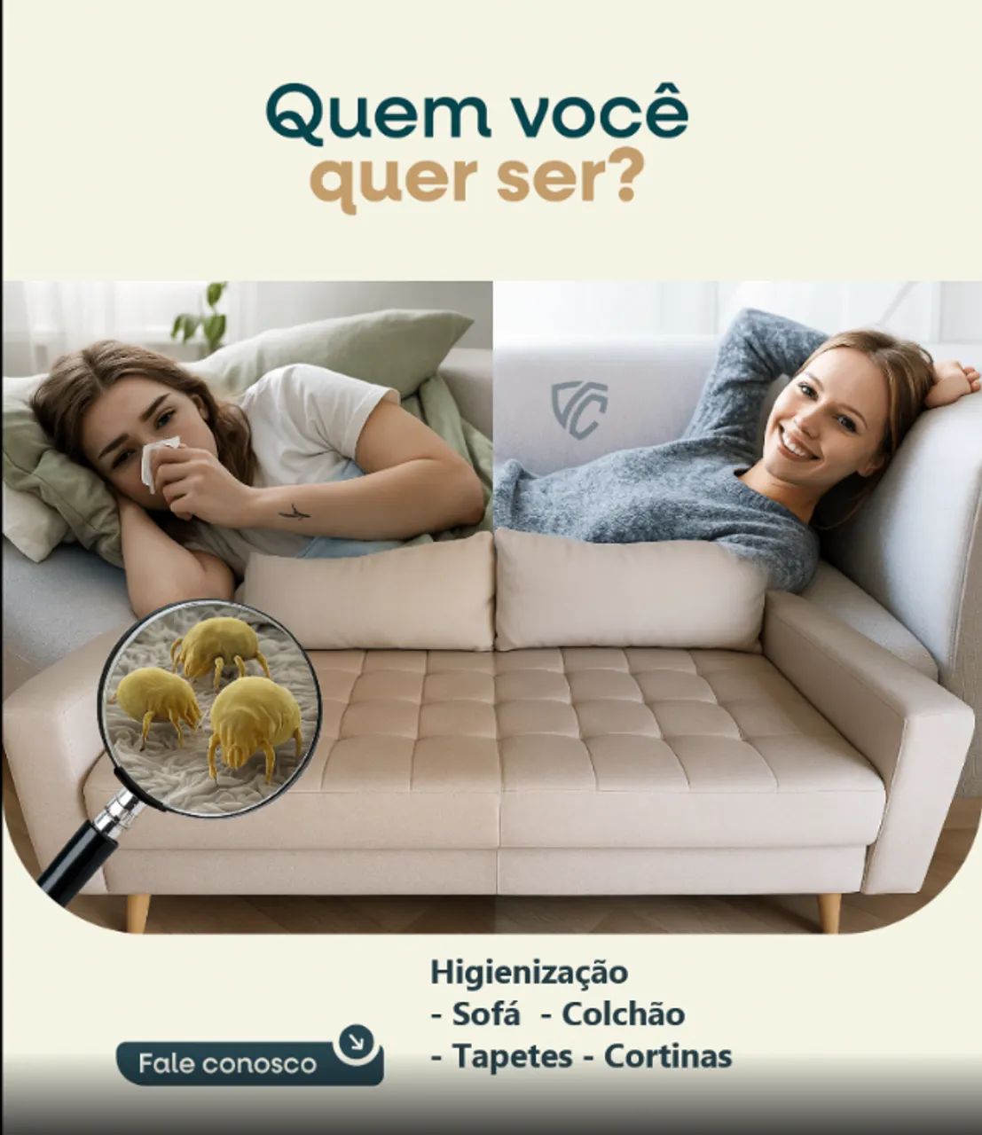 Lavagem a seco - limpeza com qualidade