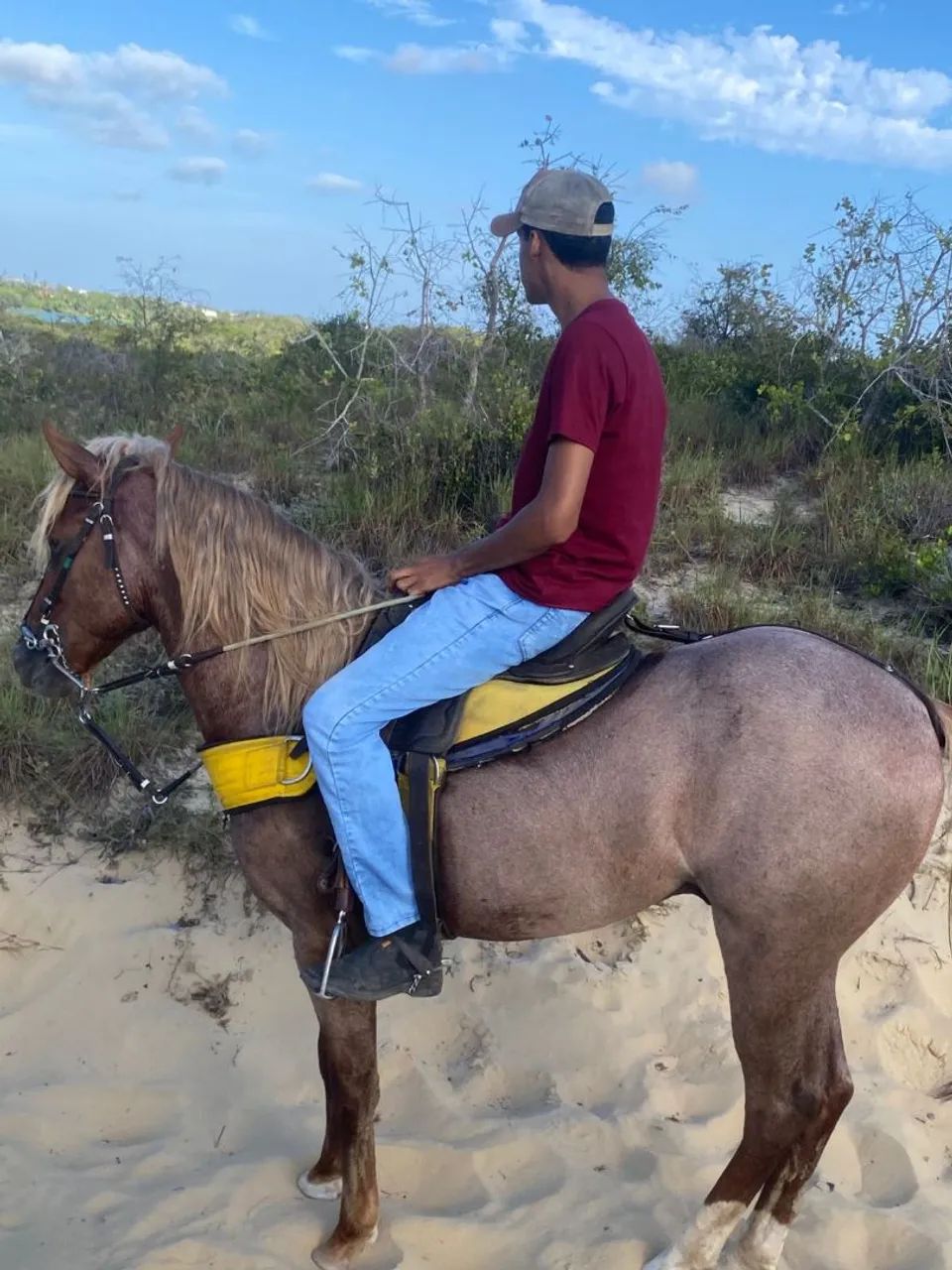 Cavalo de canhoto  - Foto 4