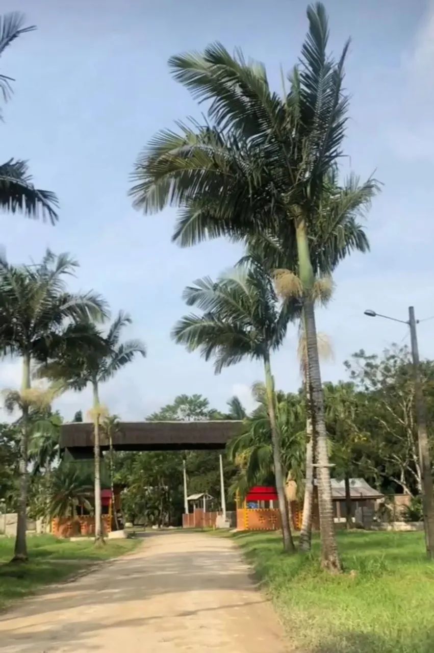 Terreno em condomínio  - Foto 2