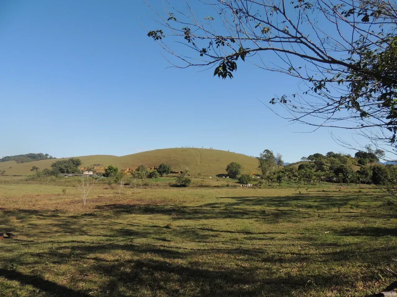 FAZENDA PRODUTIVA EM CACHOEIRAS DE MACACU - Foto 4
