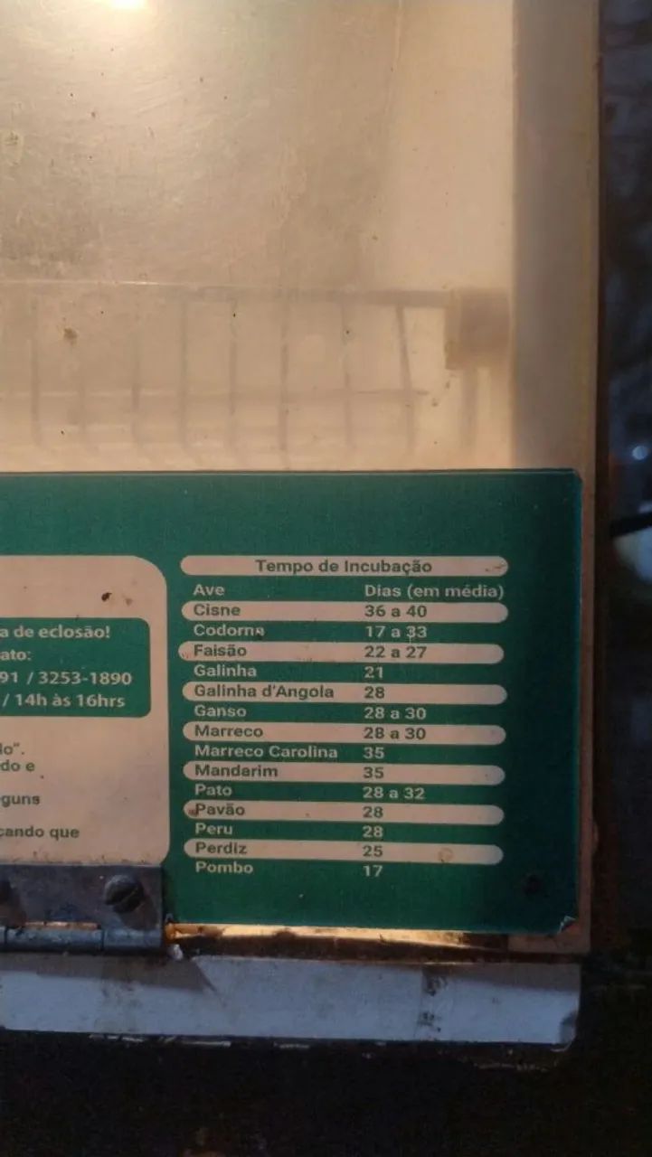 Chocadeira capacidade de 120 ovos  - Foto 3
