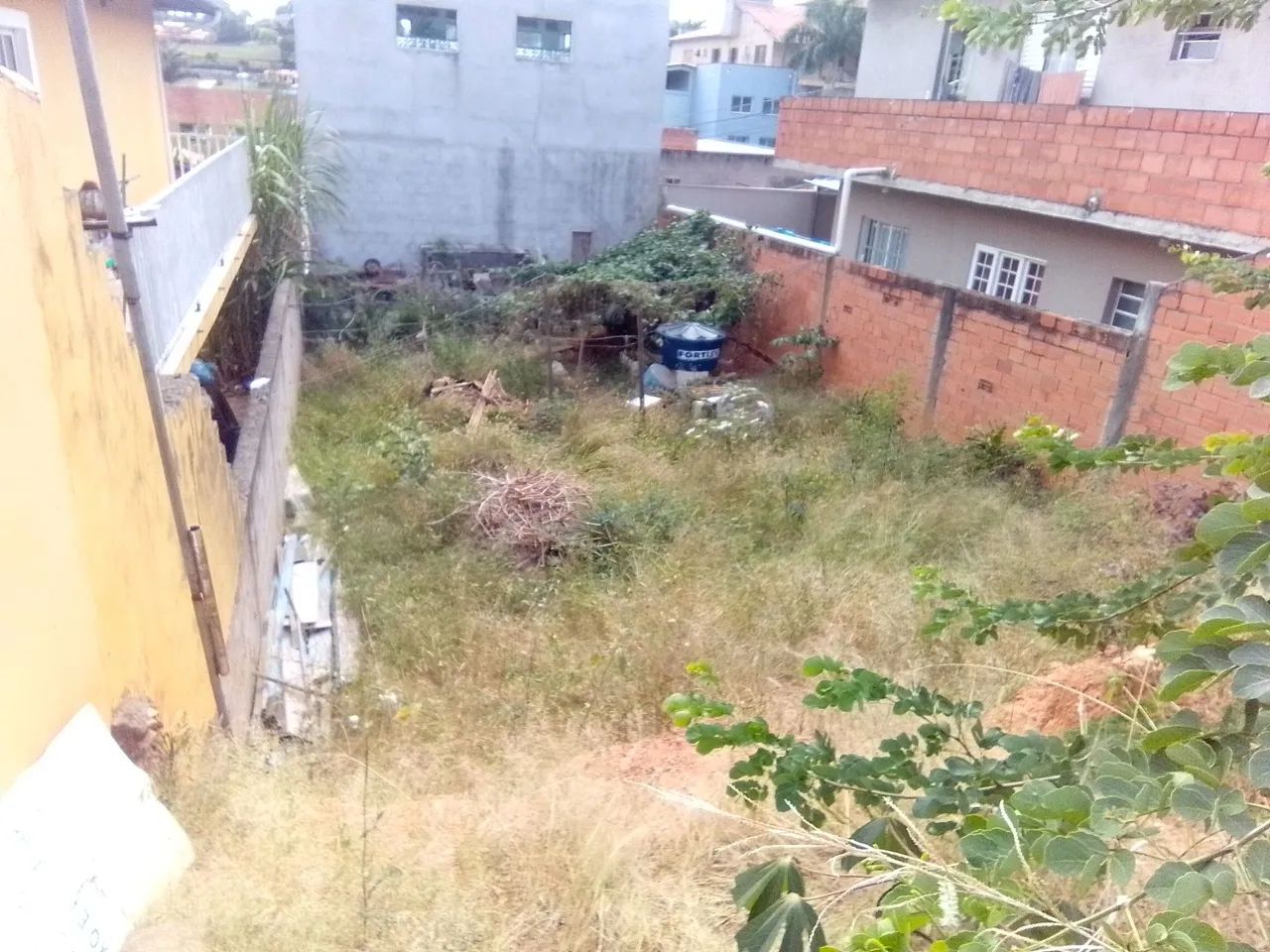 Foto - Vinhedo - Pinheirinho