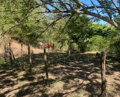 Foto - Piraí - 