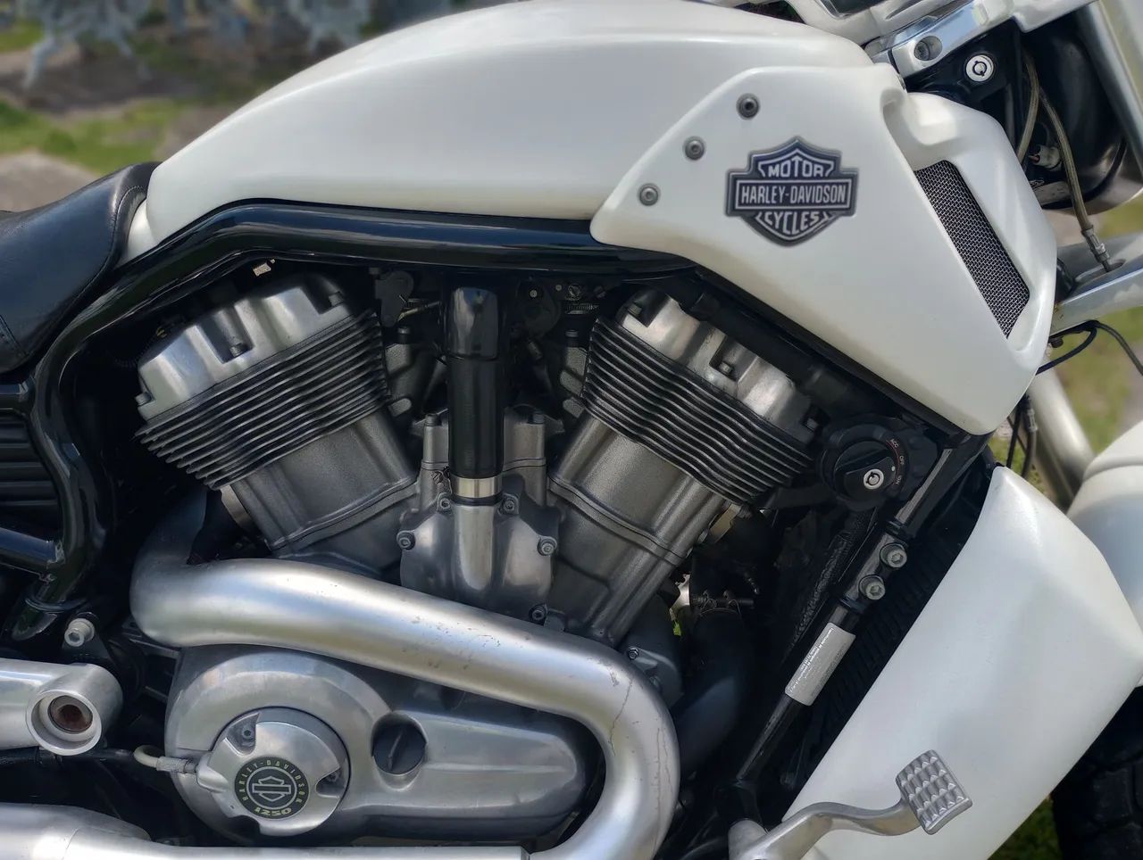 Harley Davidson Vrod Monstra. - Foto 3