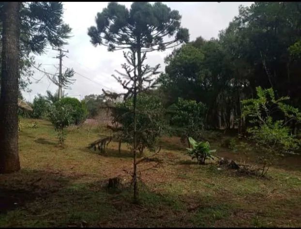 Troca ou vende - Foto 3