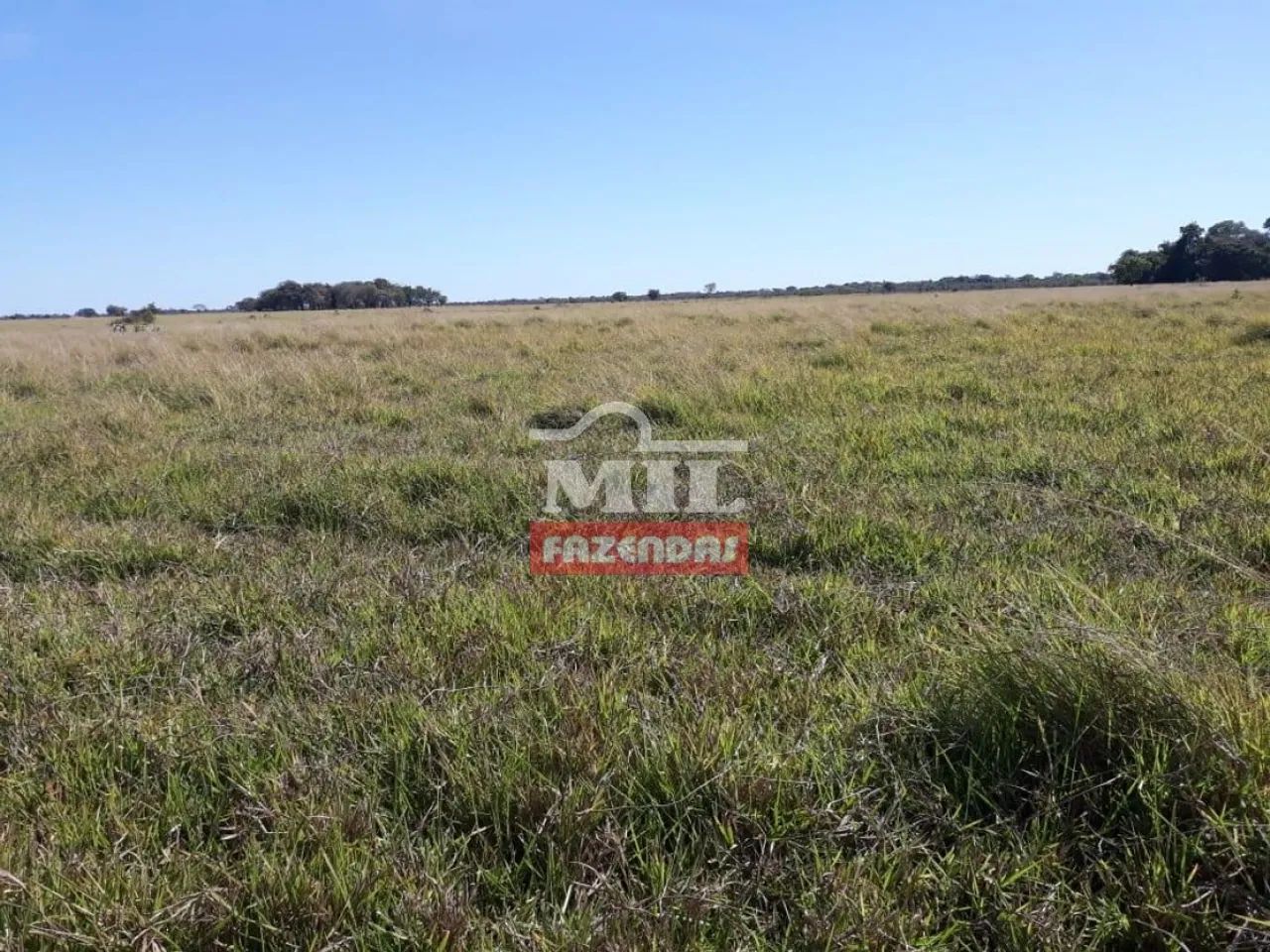 Fazenda em Sandolandia-TO. 906 Alqueires (Bem localizada) - Foto 5