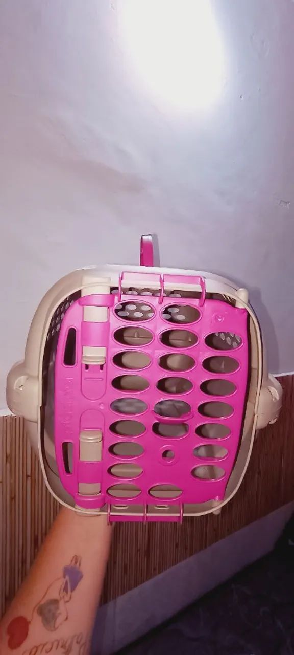 Caixa transportadora para pet + Galo de brinquedo. - Foto 4