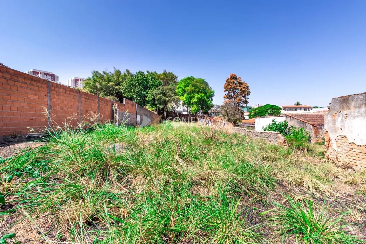 terreno - Vila Marieta - Campinas