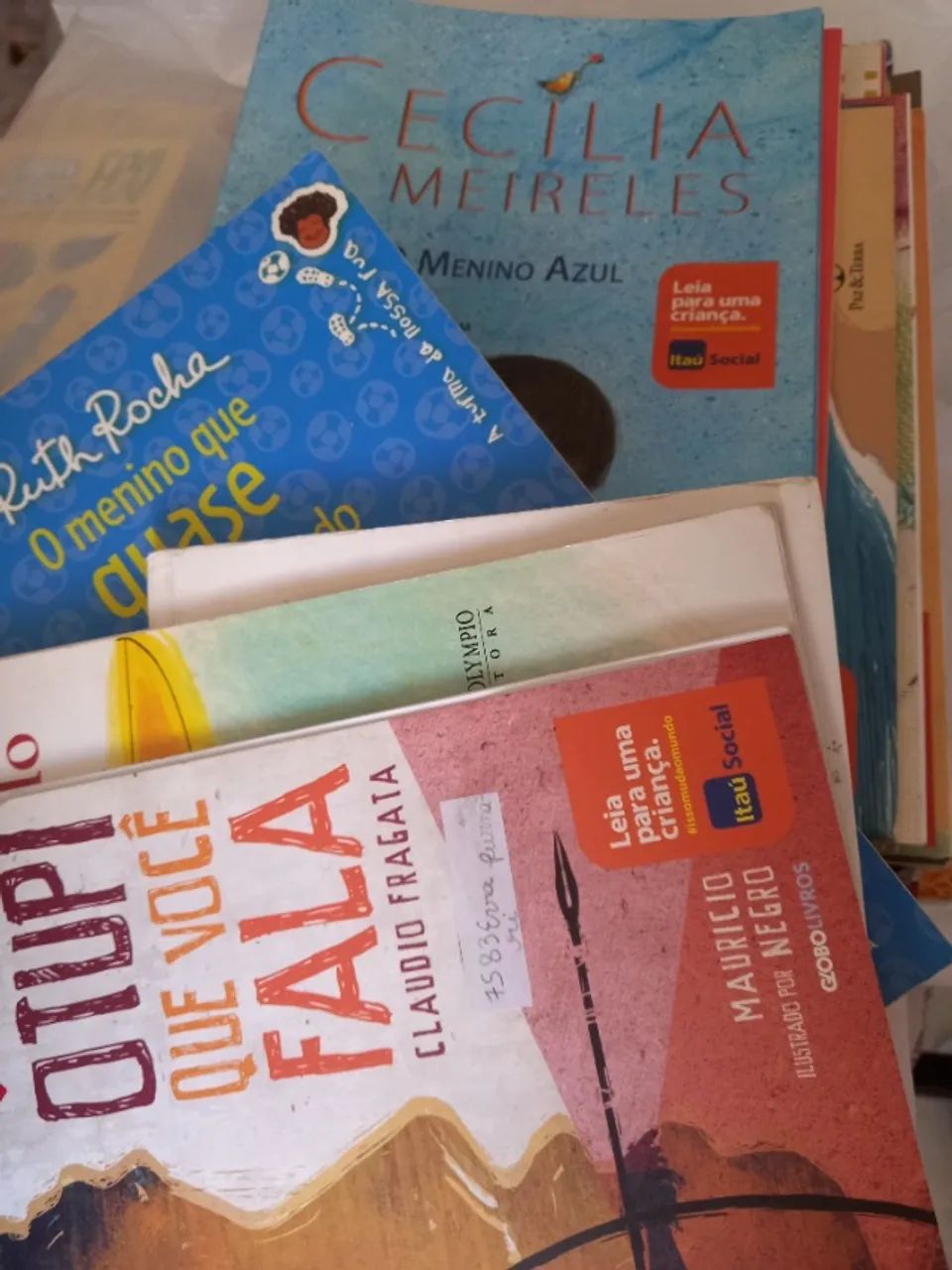 Livro infantil 