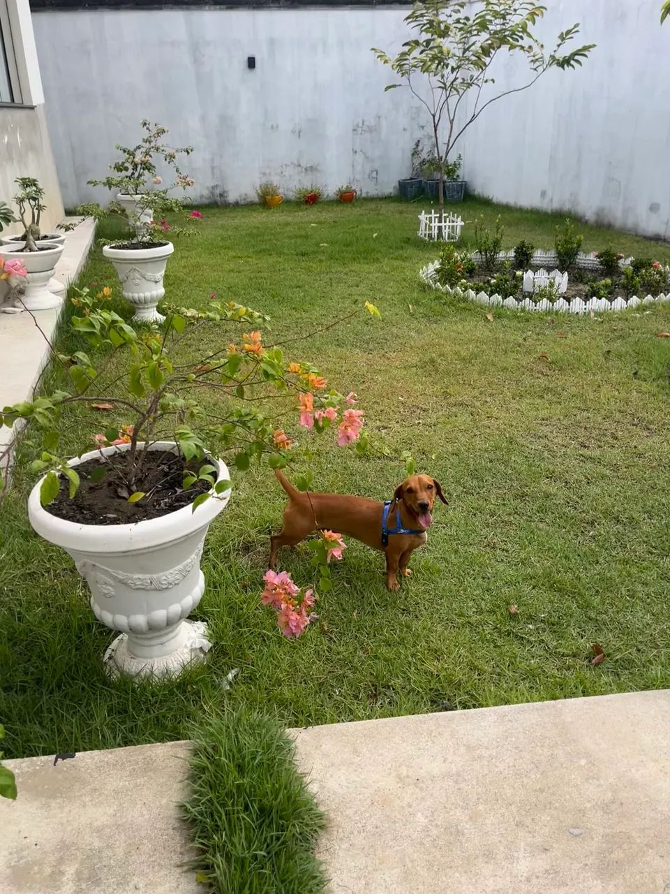 PROCURANDO UMA NAMORADA - Foto 5