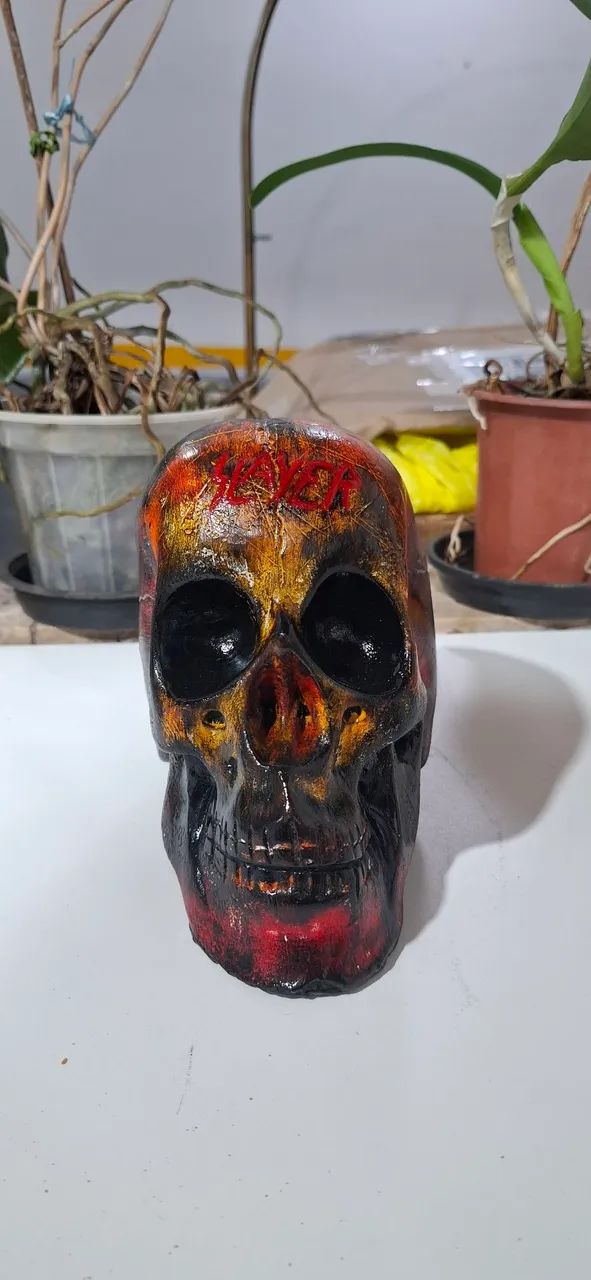 Caveira de gesso