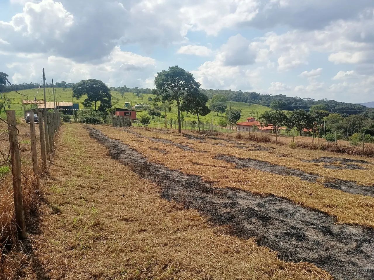 Excelente Terreno em Itatiaiuçu Mg - Foto 3