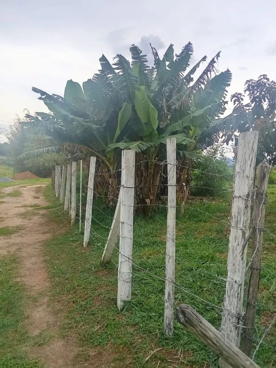 Vendo chácara em Caçapava  - Foto 3