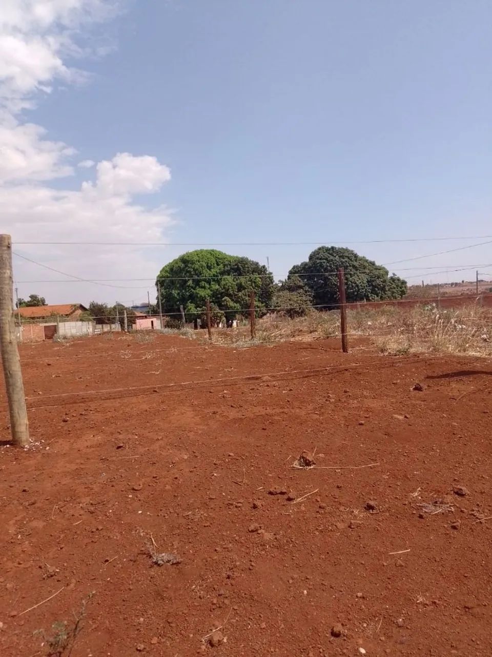 Lote - Foto 3