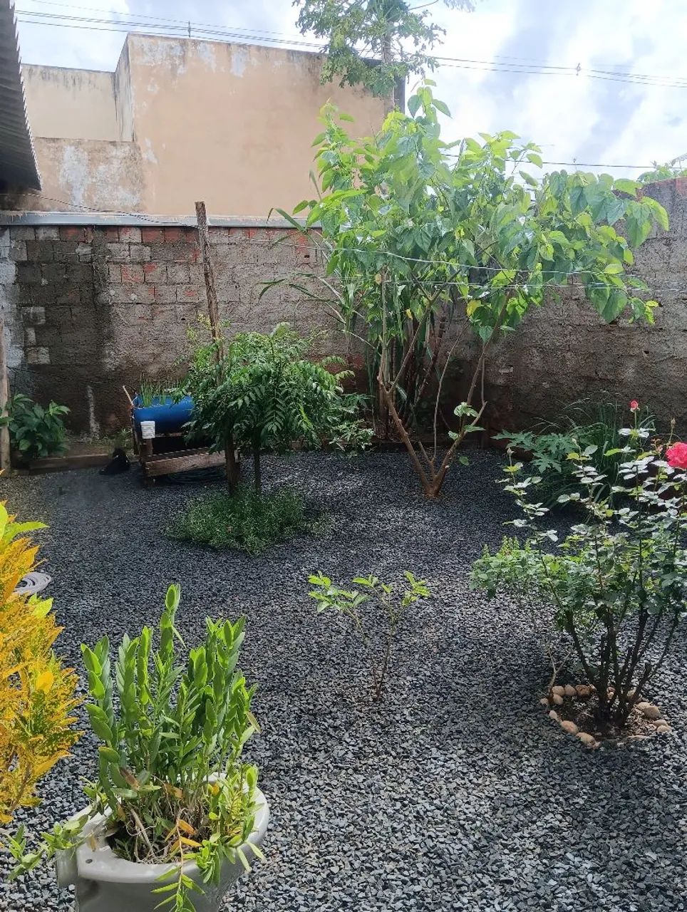 Vendo casa sozinha no lote  - Foto 4