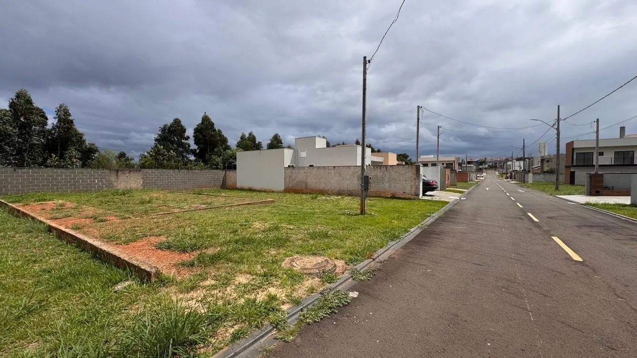 TERRENO À VENDA EM UVARANAS - Foto 3