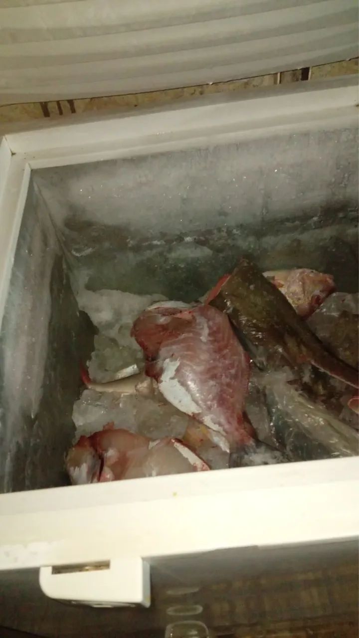 Freezer - Foto 4