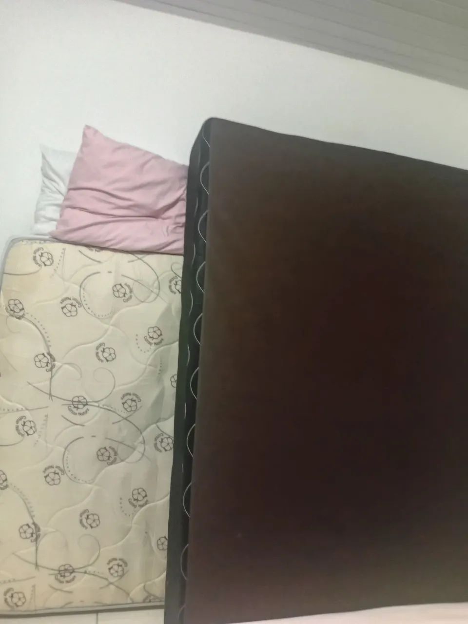 Casa 448303043110522880