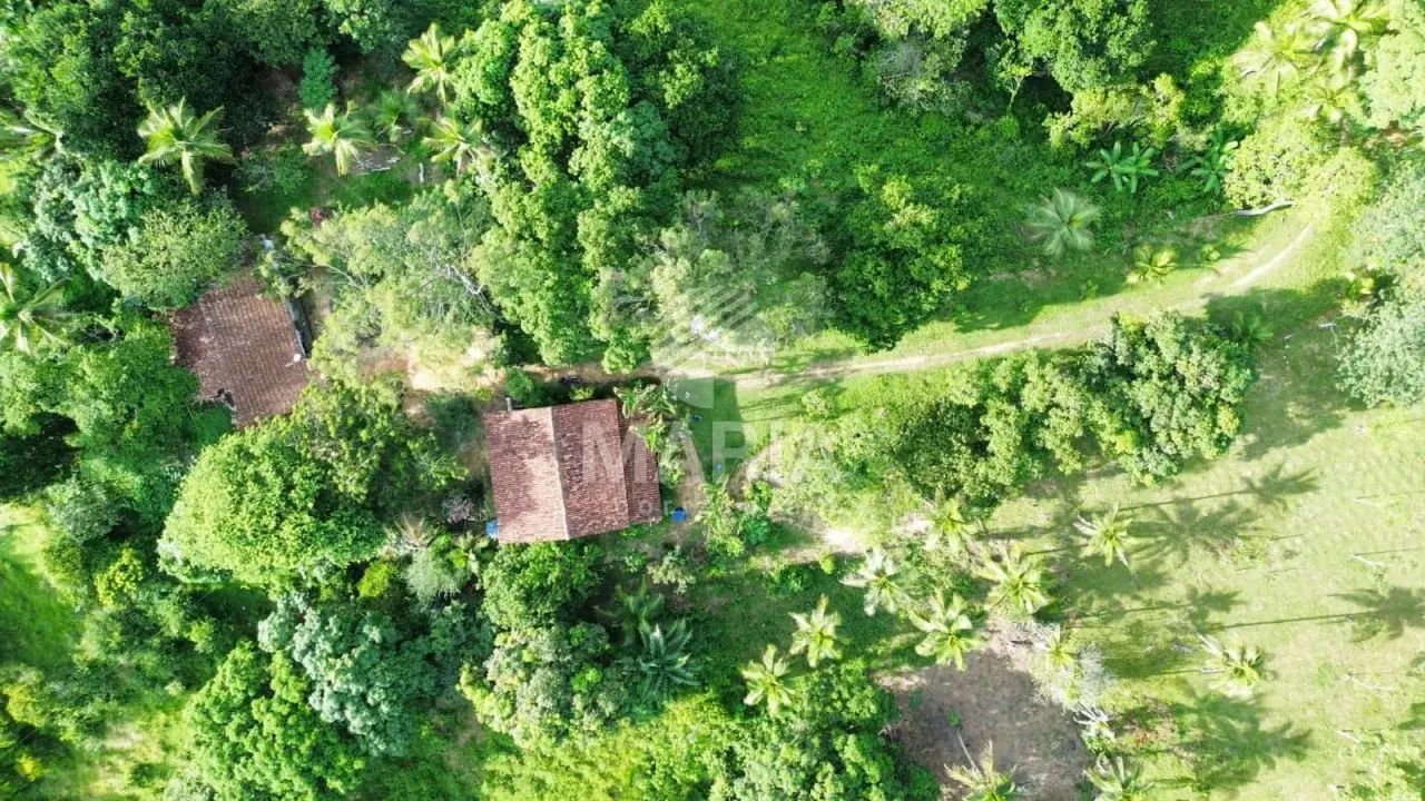 Granja com 08 hectares em São Lourenço da Mata/PE! - Foto 2