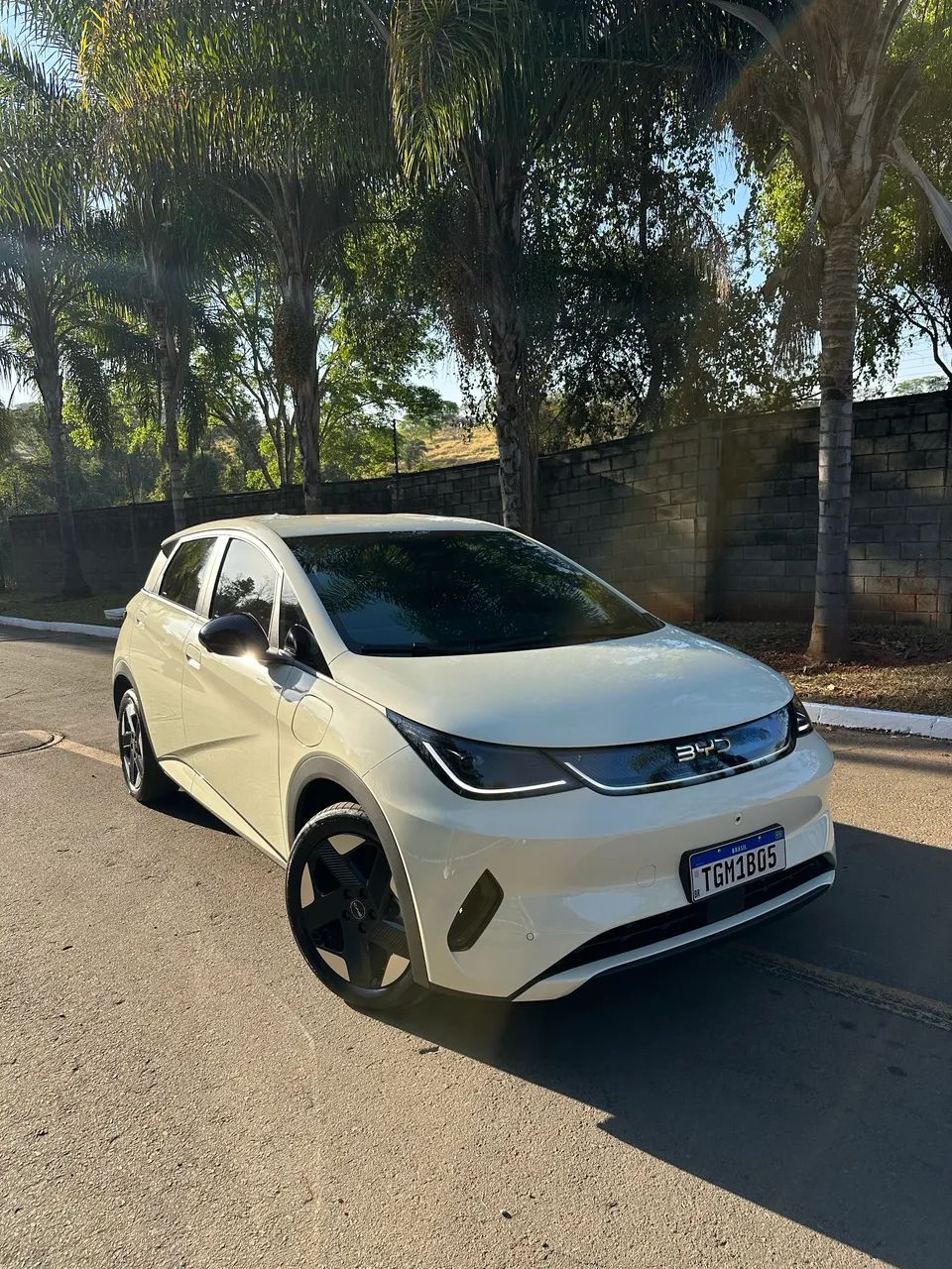 BYD Dolphin SE 2027