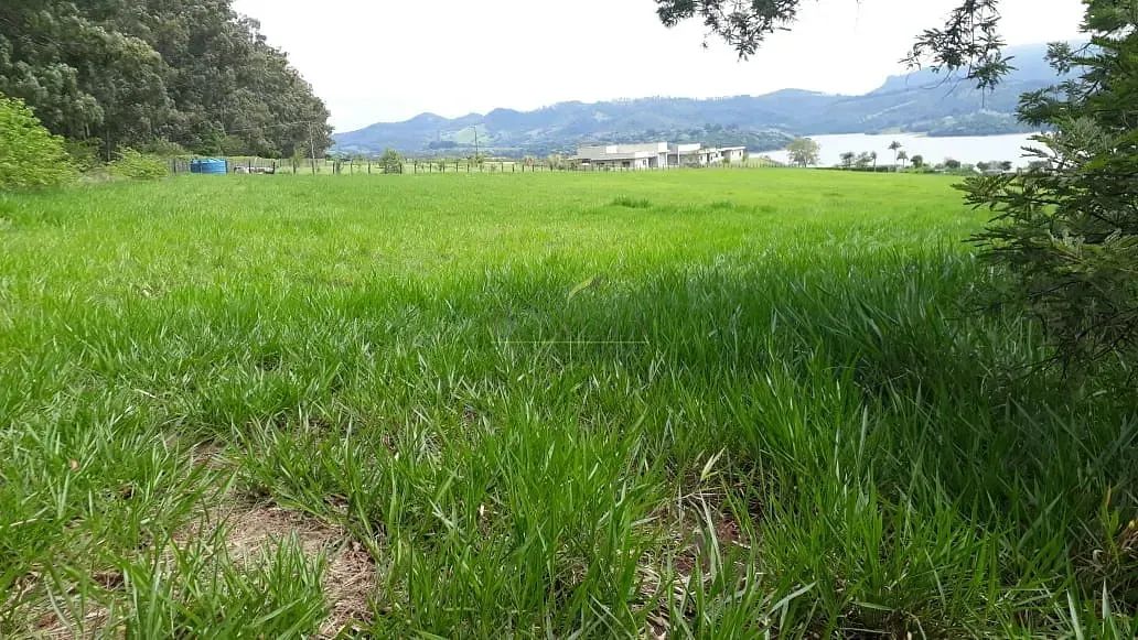 Terreno à venda | Condomínio Panorama | Represa de Piracaia - Foto 4