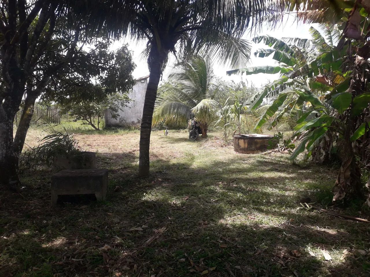 Chácara  - Foto 4