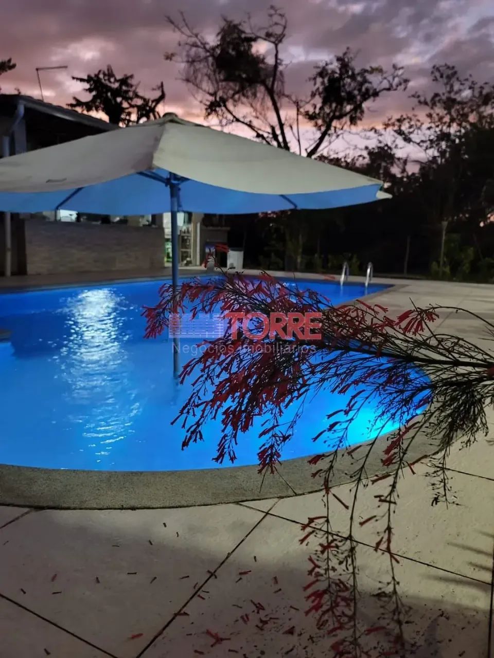 Lindo Sítio à venda, com 3,6 ha - Ilhéus, BA - Foto 5