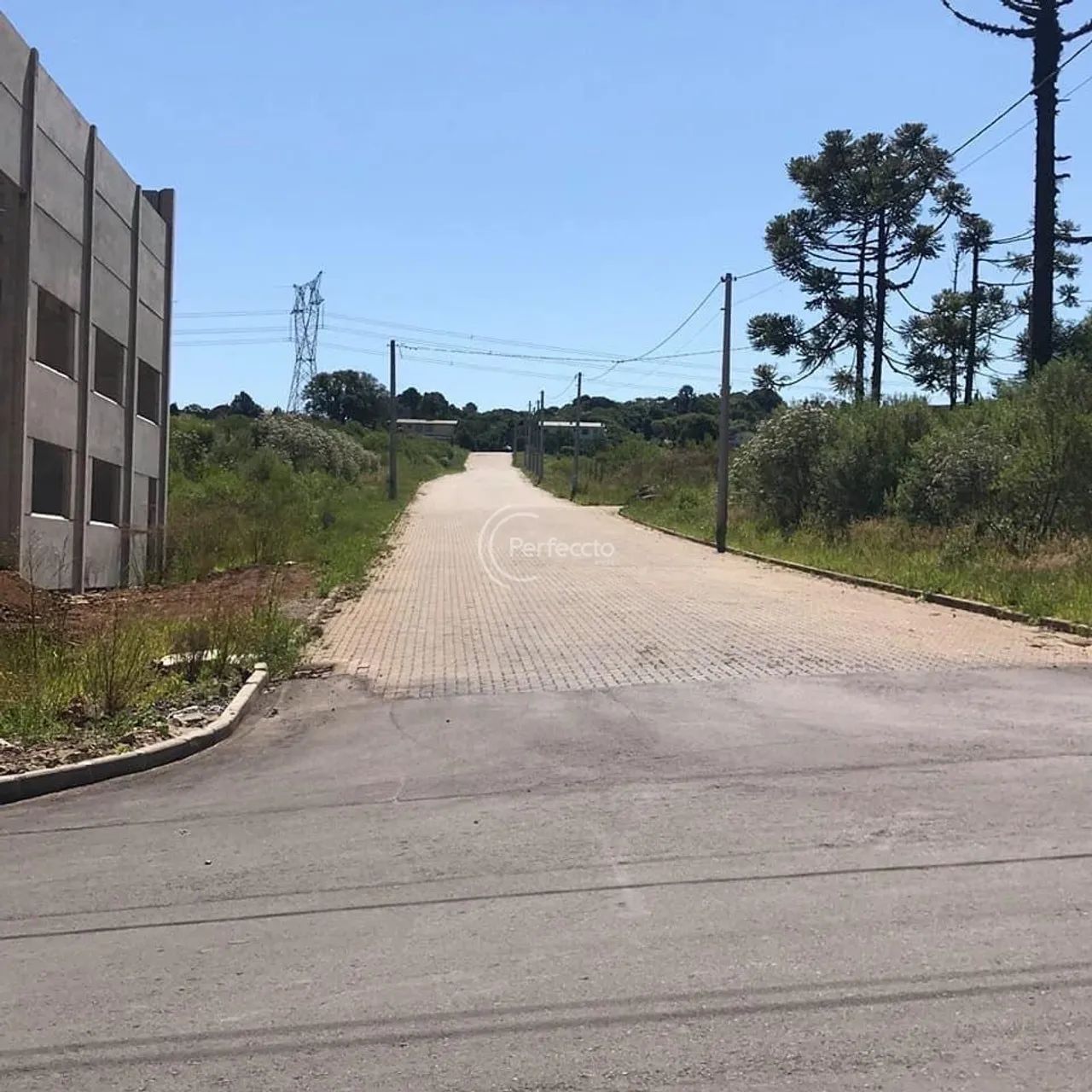 Terrenos - São Ciro - Foto 4