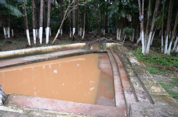 Chácara no Maracanã - Cód.: 1194 - Foto 14