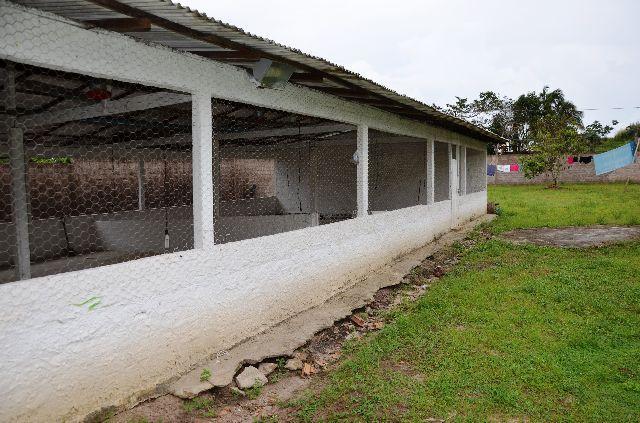Chácara no Maracanã - Cód.: 1194 - Foto 18