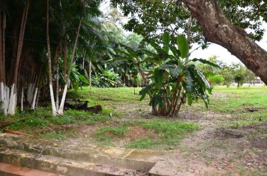 Chácara no Maracanã - Cód.: 1194 - Foto 15